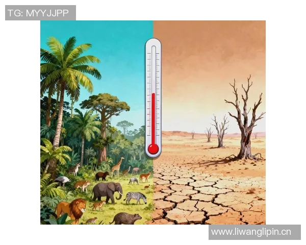 全球气候变化加剧 国际社会联合应对挑战需加速推进